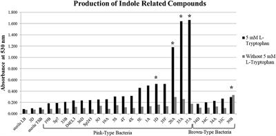 Bacterial Production of Indole Related Compounds Reveals Their Role in Association Between Duckweeds and Endophytes